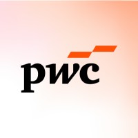 Technical Analyst - PwC