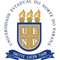 Bachelor's Degree, Information Technology
