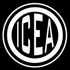 Software Developer - ICEA.NET