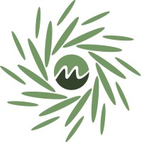 Senior QA Automation Engineer - Mahathi