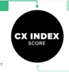 Software Developer - CXI