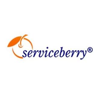 Serviceberry (now Accion Labs)