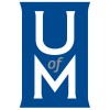 MSc Information Systems